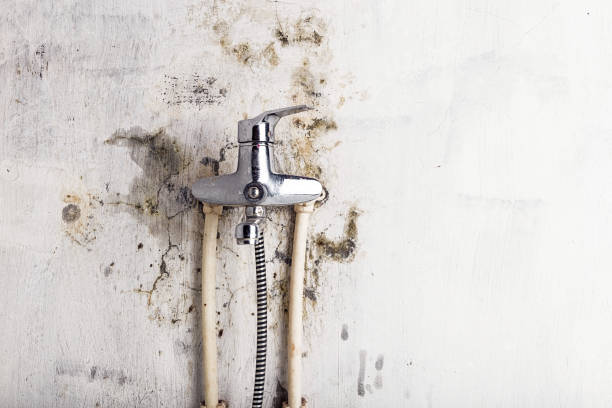 Best Toxic Mold Removal  in Sacramento, CA